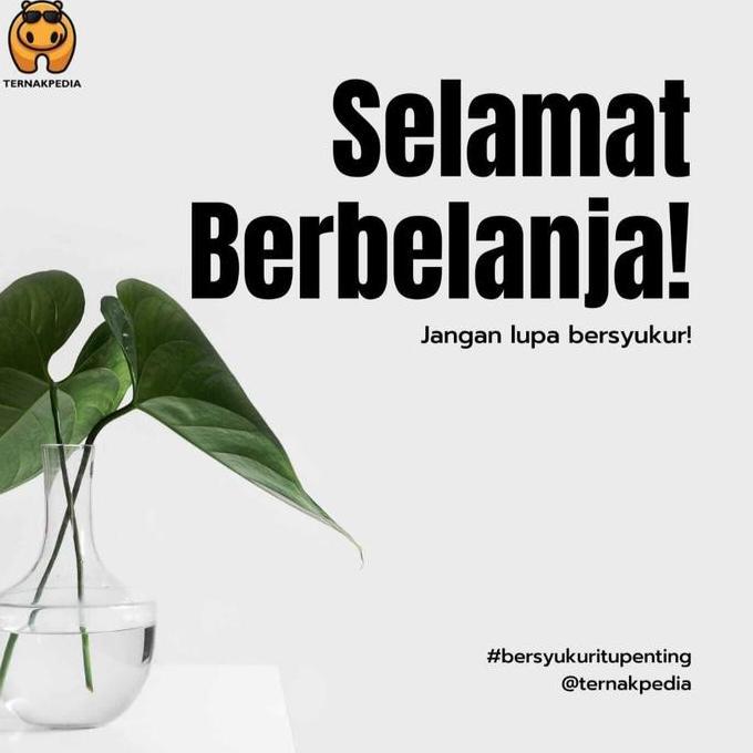 Dongmul- Obat Ayam Mencret - Obat Ayam Mencret Bubuk - Obat Mencret Kambing