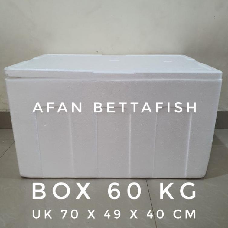 Styrofoam Box 60Kg 70 X 49 X 40 Cm Box Sterefoam 60 Kg