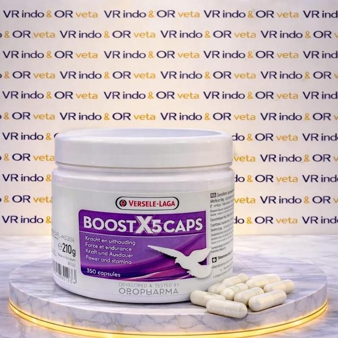 BOOST X5 CAPS VERSELE LAGA VITAMIN KAPSUL BURUNG MERPATI BALAP KOLONG