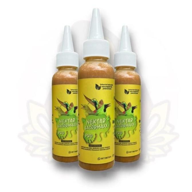 NEKTAR PRO GACORMAXX BURUNG PLECI SOGON COLIBRI GACOR MAXX