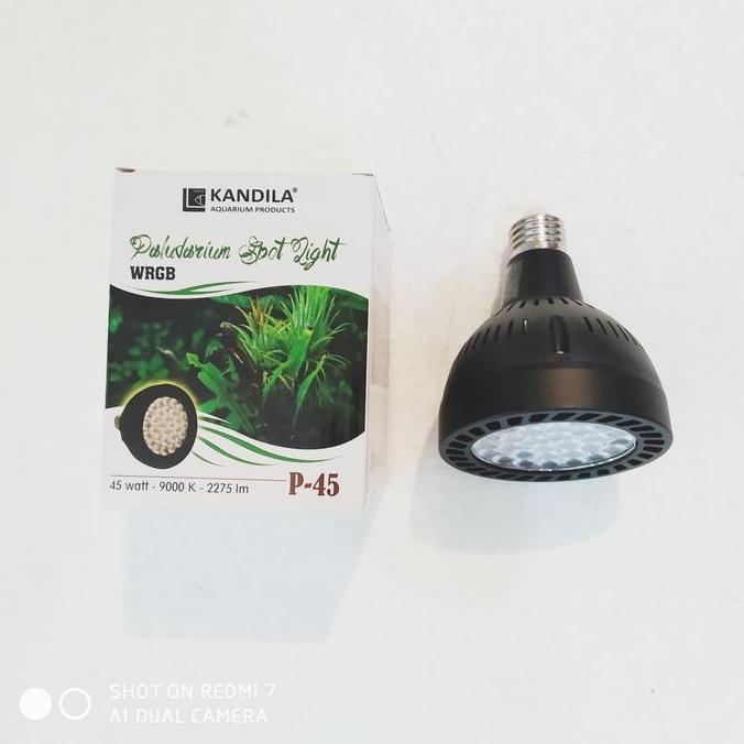 Kandila Spot Light P45 Paludarium