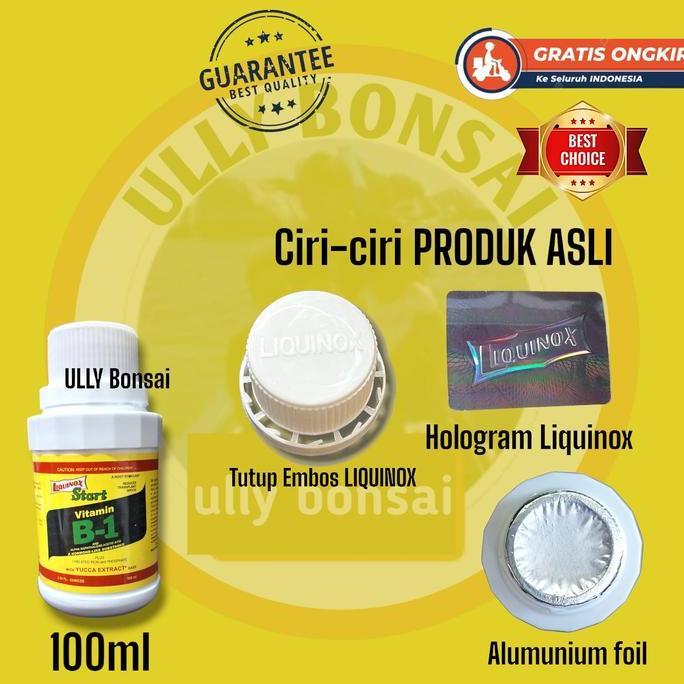 Pupuk Vitamin B1 Liquinox