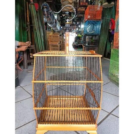 NEW KANDANG CUNGKOK BAMBU COCOK BUAT BURCIL ORI