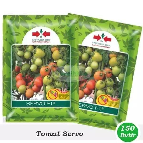 Terlaris Benih Tomat Servo F1 1750 Butir (Original) Cap Panah Merah / Bibit Tomat Servo F1 1750 Biji