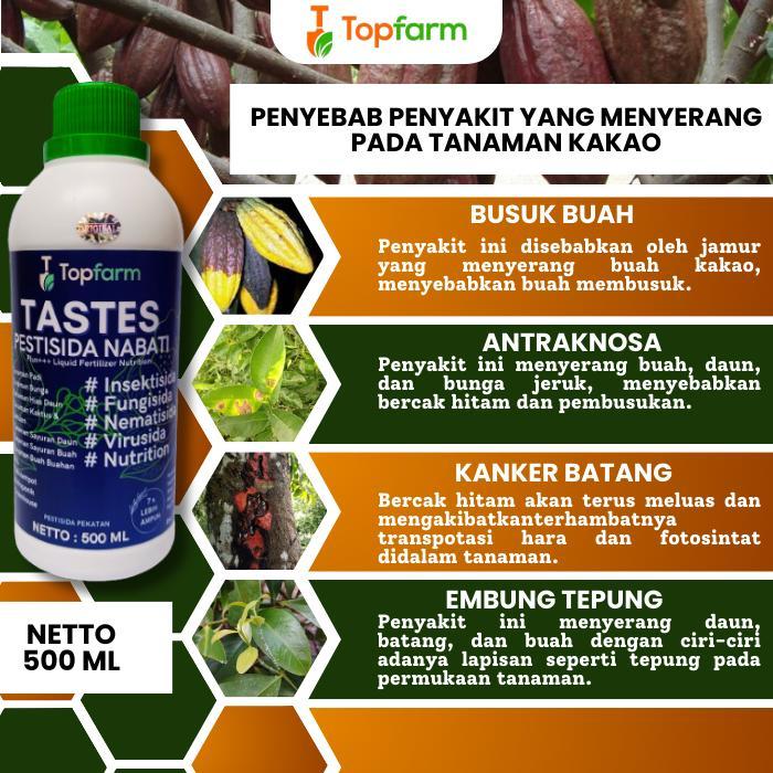 Obat Hama Kakao Paling Ampuh / Obat Hama Tanaman Kakao / Obat Hama Buah Kakao / Obat Hama Kakao / Ob