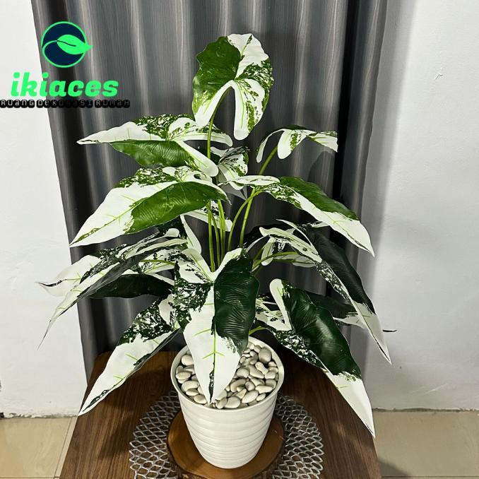 Daun Keladi Hias Plastik Pot Bunga Sudut Rumah Daun Caladium Jumbo Artifisial Dekorasi Tanaman Hias 