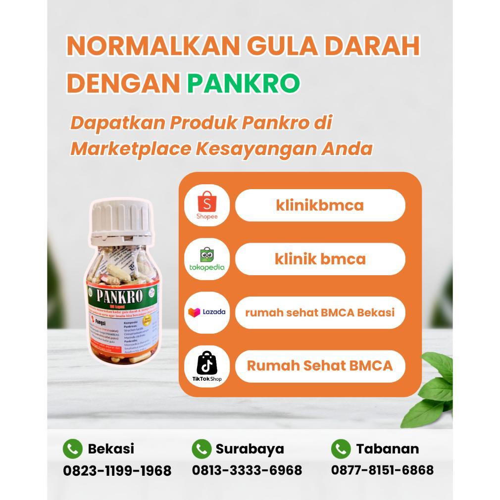 Selera Jualan - Kapsul Pankro Obat Herbal Diabetes Kering Basah Obat Penurun Gula Darah Ampuh 100% B