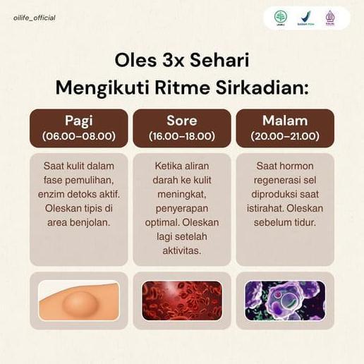 Point- Oilife Minyak Oles Bantu Keluhan Benjolan Di Leher