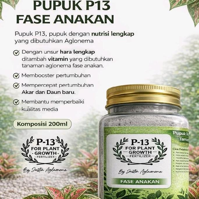 Pupuk P13 Untuk Fase Anakan Om Justin