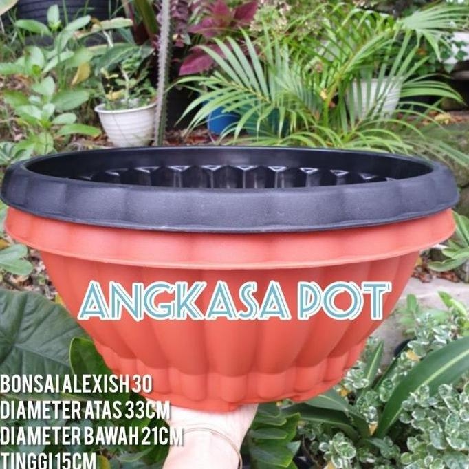 Place- Pot Bunga Bonsai Alexish Delima 30 Pot Bonsai Bulat Besar - Merah Bata