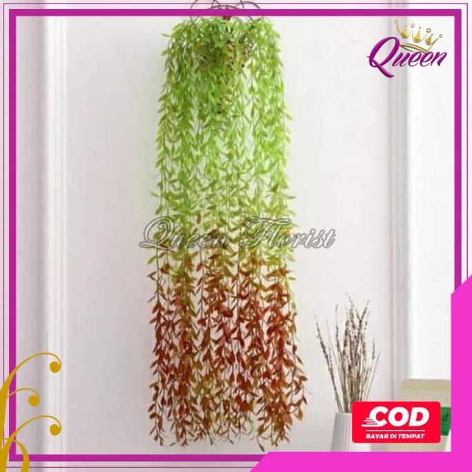 PREMIUM [COD] Daun Juntai Likanyu Lee Kwan Yu Hoya Costa Plastik Artificial - Tanaman Gantung Hias D