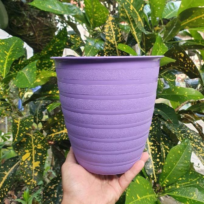 Youi- Pot Tawon Tirus 20 Cm Paket Isi 6 Pot Hijau Putih