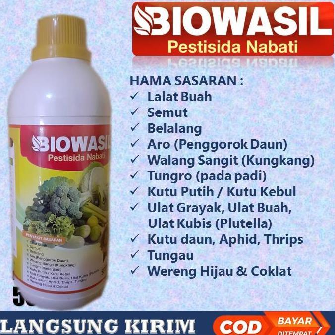 Happy- (Siap ) Pestisida Biosil Pestisida Nabati Obat Hama Belalang Padi - Obat Pembasmi Belalang - 