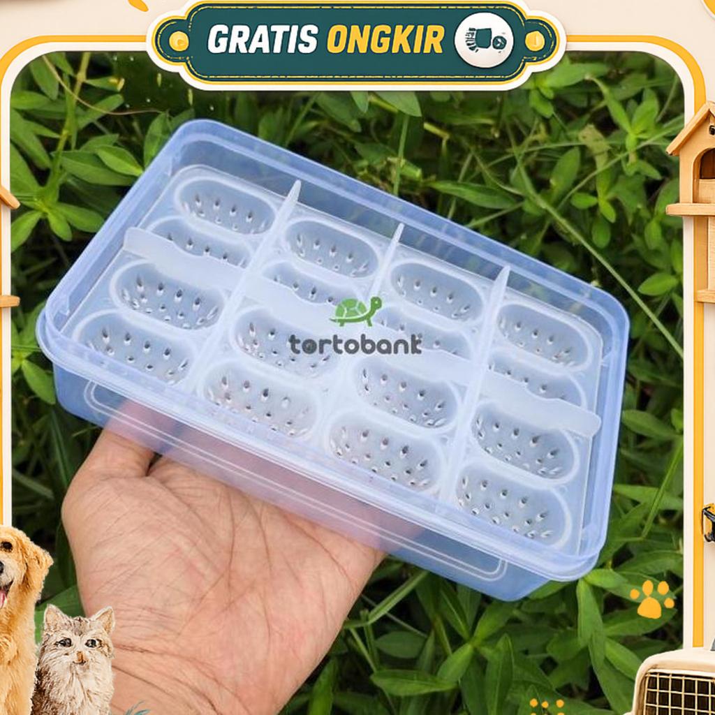16 Tempat Telur Reptil - Reptile Egg Box - Reptil Egg Incubation Box