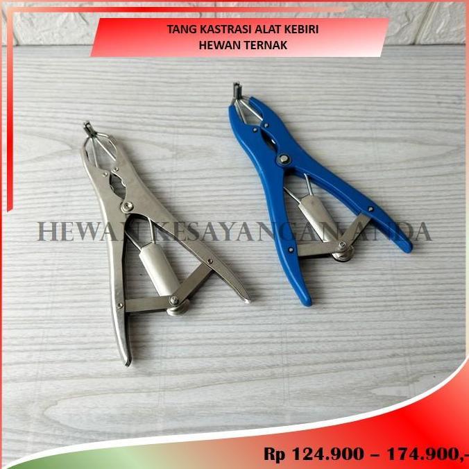 Tang Kastrasi Alat Kebiri Hewan Ternak Kambing Domba dll