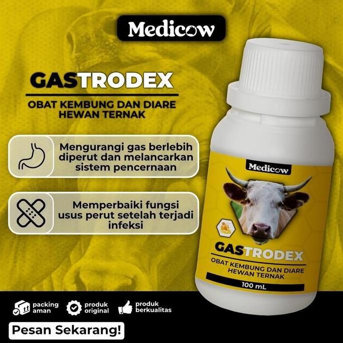 Medicow Gastrodex Obat Kembung Untuk Sapi 100ml | sapi kembung | obat kembung sapi |
