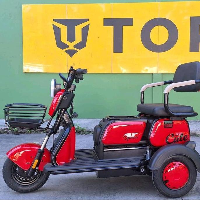 Terlaris Sepeda Listrik Roda 3 Tiga Dewasa Tora 800 Watt