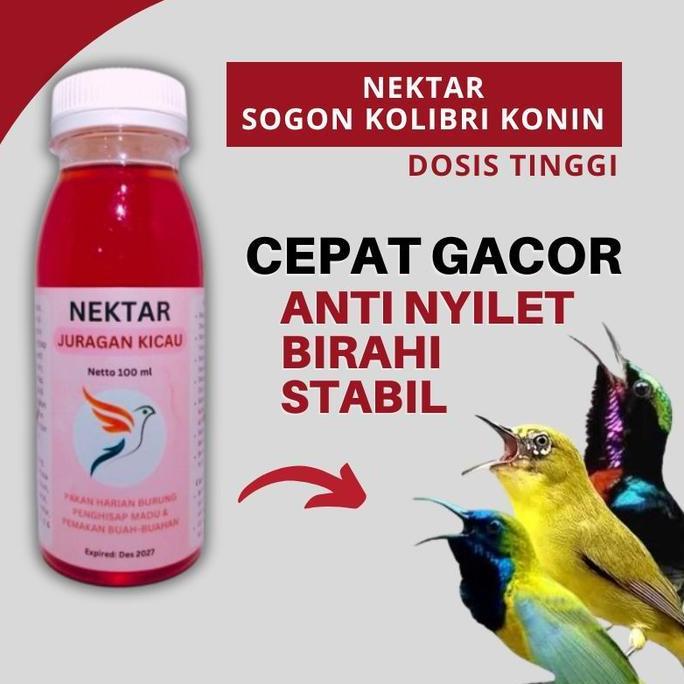 Nektar Sogon Konin Kolibri Kelapa Juragan Kicau Dosis Tinggi Biar Cepat Gacor Nextar Sirup Pakan Mak