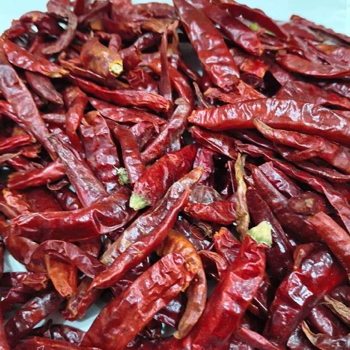 Ready Cabe Merah Kering/ Cabai Merah Kering India