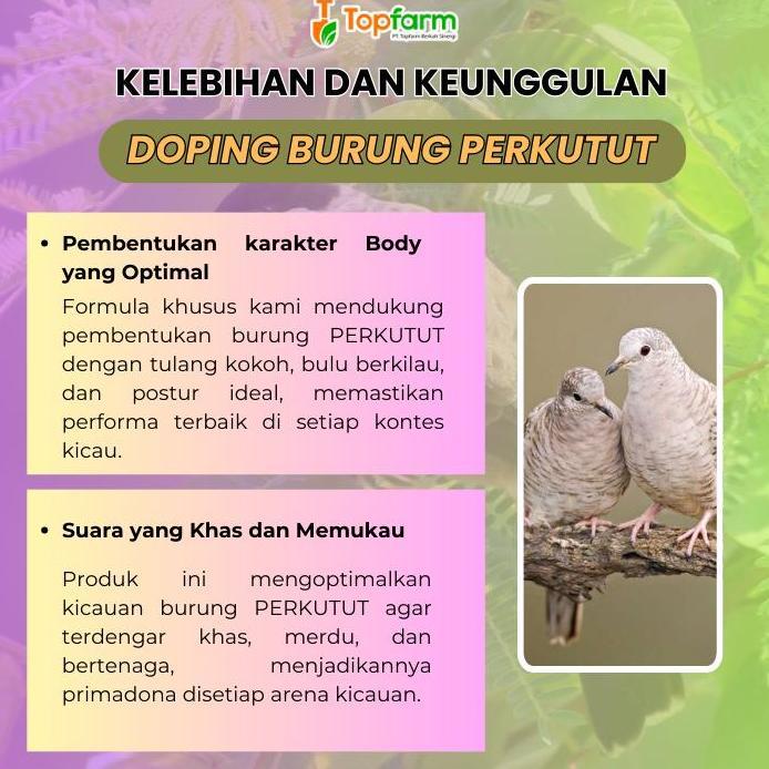 Vitamin Burung Perkutut 60ML/ Obat Perkutut Agar Gacor/ Vitamin Perkutut Super Gacor/ Booster Burung