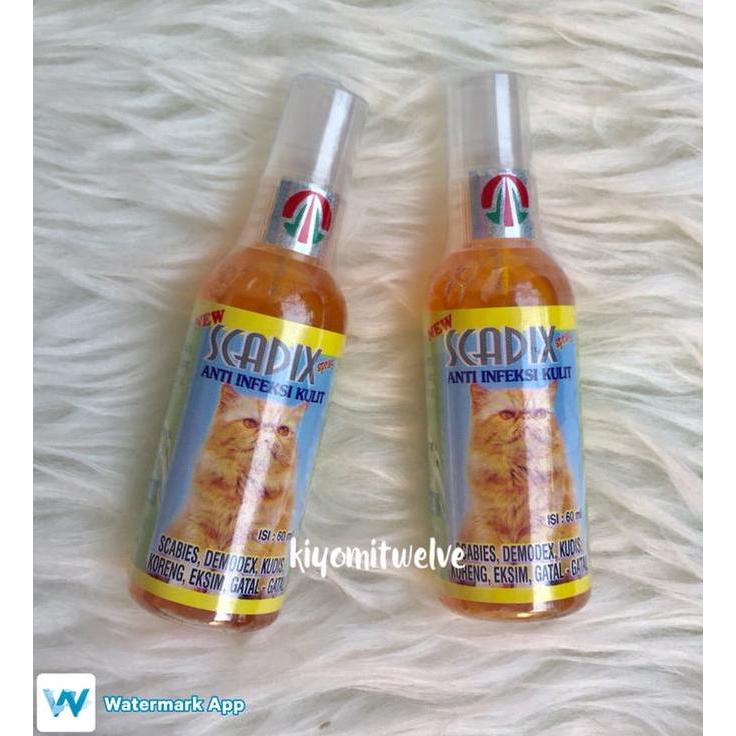 Scadix Obat Scabies Jamur Kucing Scadix Spray
