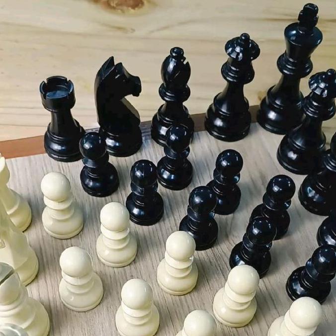 Promo Bidak Catur Dgt Germany Knight Import Grade Super Standard Fide Cod
