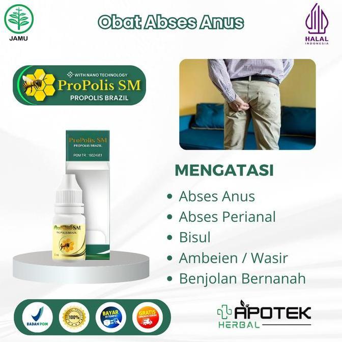 Propolis SM Herbal Abses Anus Abses Perianal Bisul Benjolan Bernanah di Anus PALING AMPUH Namun Terg