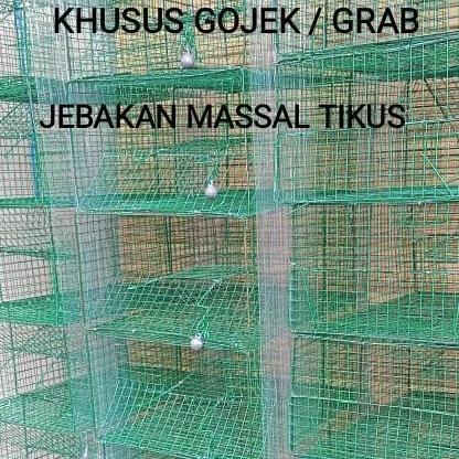 Perangkap Jebakan Tikus Massal Tebal Jumbo