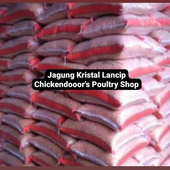 '' JAGUNG KRISTAL LANCIP BURUNG DARA MERPATI KOLONG BEBEK AYAM KATE 25KG //