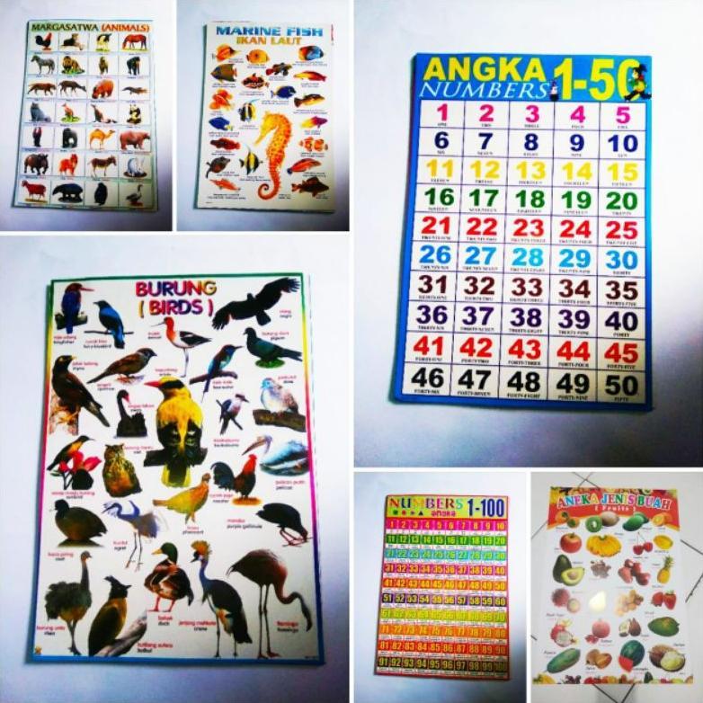 LIMITED Poster anak,Poster edukasih,Poster anak, poster edukasi pengenalan huruf berhitung tempelan 