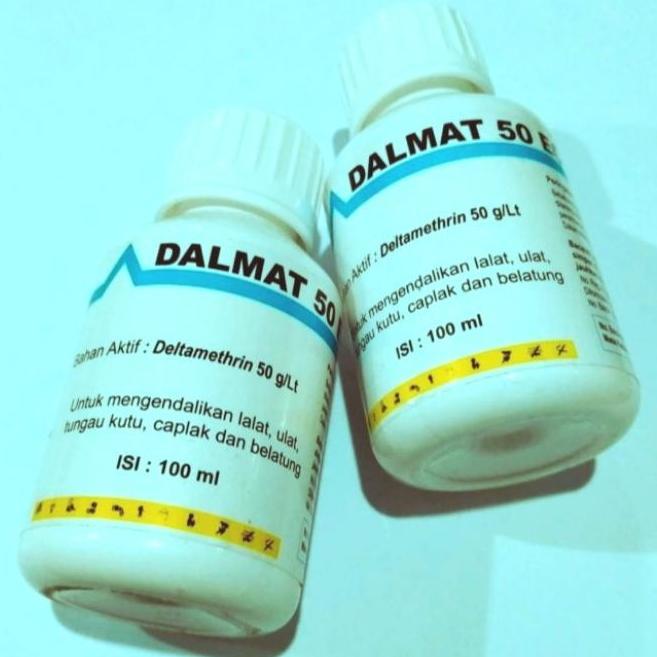 DALMAT OBAT KUTU 50EC OBAT KUTU LALAT CAPLAK BELATUNG DALMAT 100ML