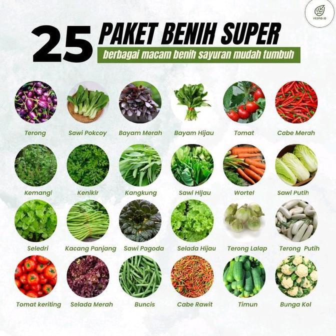 25 Paket Benih Sayuran Super | Paket Benih Sayuran Lengkap Hemat