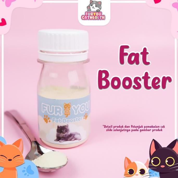 Fat Booster Penggemuk Kucing Kucing Gemuk Obat Gemukin Kucing