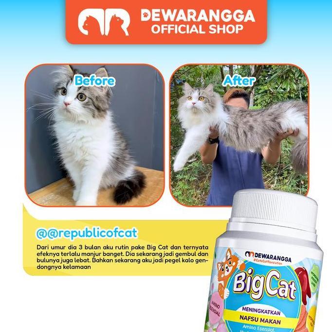 Big Cat - Vitamin Nafsu Makan & Gemukin - Dewarangga Best Quality