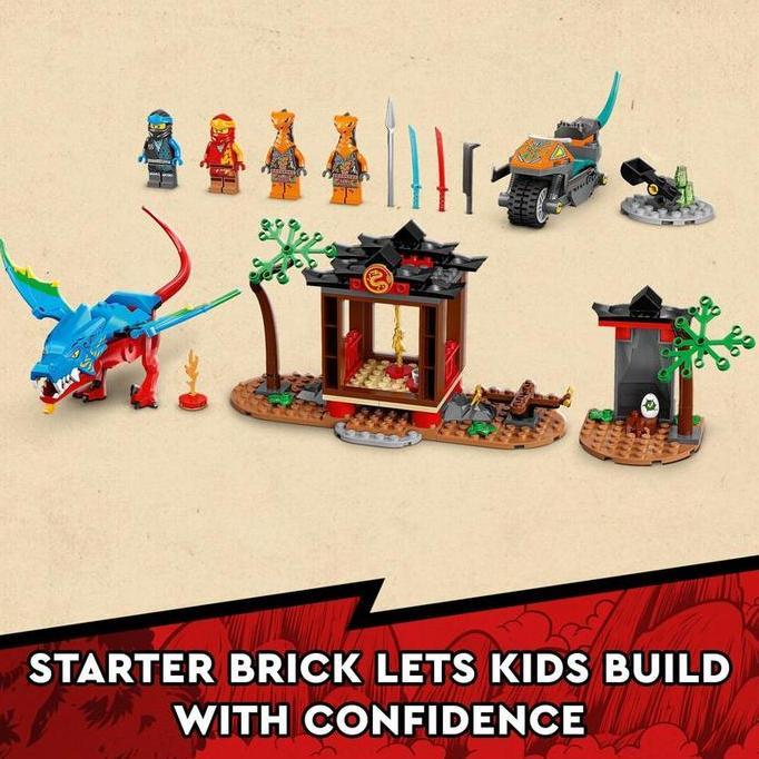 LEGO Ninjago 71759 Ninja Dragon Temple (161 Pieces), Mainan, Building Block, Toys (TERBAIK) (TERBARU