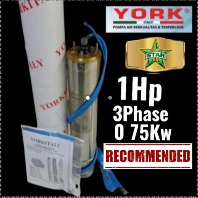 DINAMO MOTOR ONLY POMPA SATELIT YORK 1HP 4" 0.75KW 3PHASE SUBMERSIBLE READY