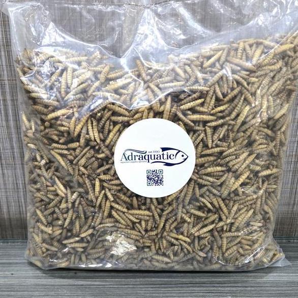 Afterday- Maggot Kering 500Gr Larva Bsf Magot Pakan Ikan Koi Burung Ayam