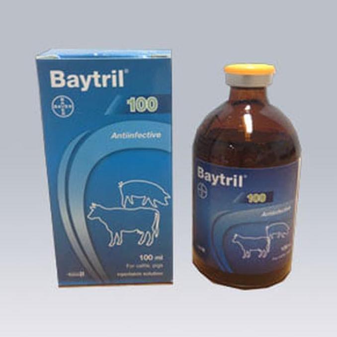 Kickbit- Baytril Inject 10