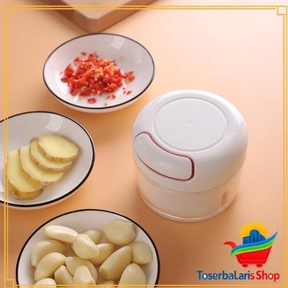FADHANAKO Blender Chopper Manual / Penghalus Bumbu Dapur Praktis