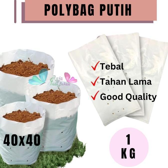 RAJA INDO GROSIR 1KG POLYBAG 40x40 PUTIH Tebal Polibek Polibag Tanaman 40 cm