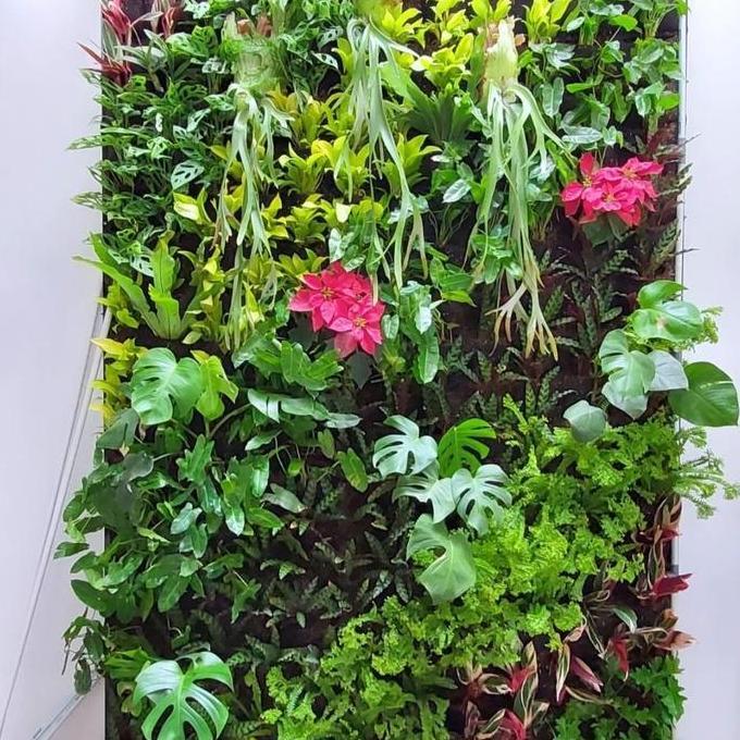 pembuatan vertical garden - vertical garden tanaman hidup