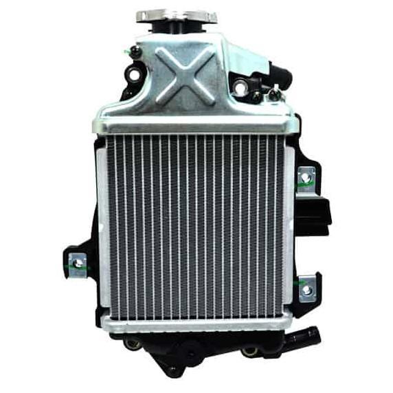 RADIATOR ASSY VARIO 125 ESP 19100K60B00