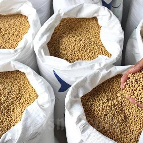 Kacang Kedelai Import 50 Kg/Kacang Kedelai Mata Hitam