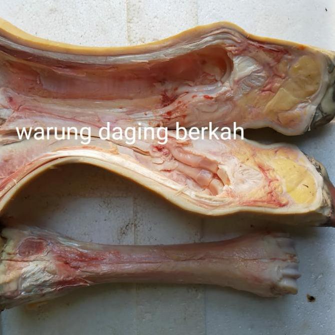 Nyumi- Kaki Sapi Lokal Utuh
