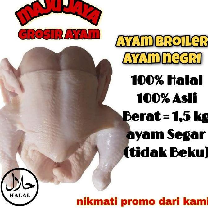 Nyumi- Ayam Broiler 1.5 Kg Ayam Utuh / Ayam 1 Ekor / Ayam Segar / Ayam Fresh