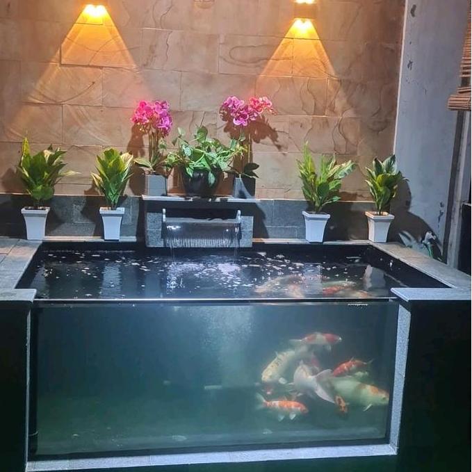 kolam ikan koi minimalis,kolam ikan kaca