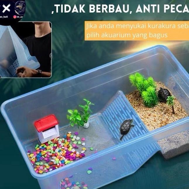 Tempat Kura-Kura/Box Kura/S-M-L