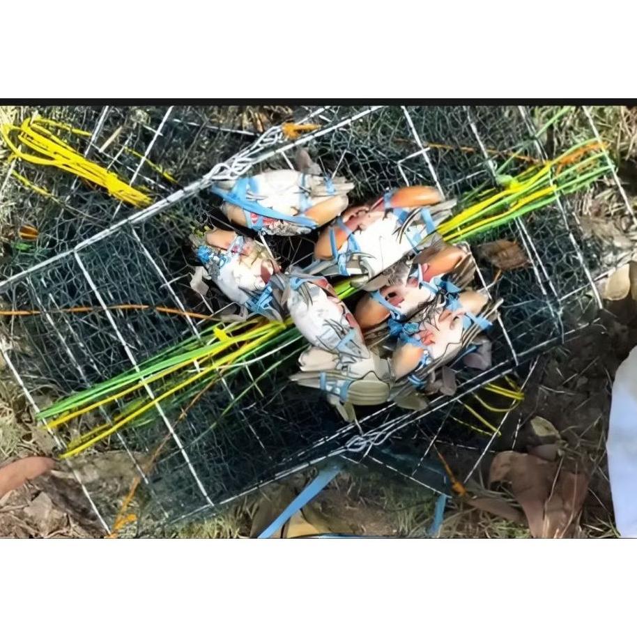 10 Set Perangkap Jaring Bubu Kepiting Anti Karat Ukuran 43X28X16 Siap Pakai