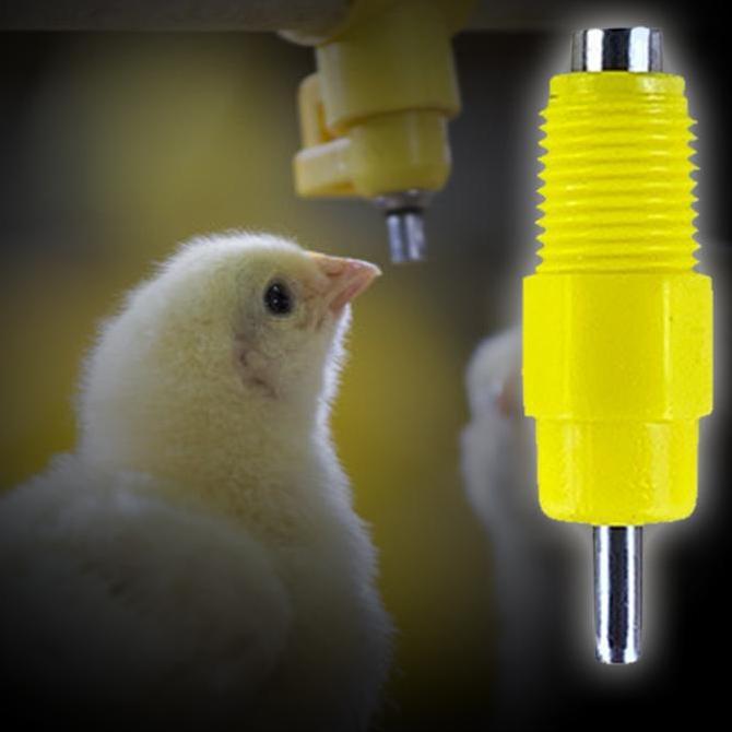 LEXSA Isi 20 Nipel Pipa Kotak Aksesoris Alat Minum Ayam Nepel Minum Ayam
