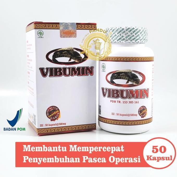 Vibumin / Vibumin Plus / Ikan Gabus / Daya Tahan Tubuh / Pasca Operasi
